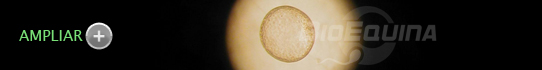 Transferencia Embrionaria
